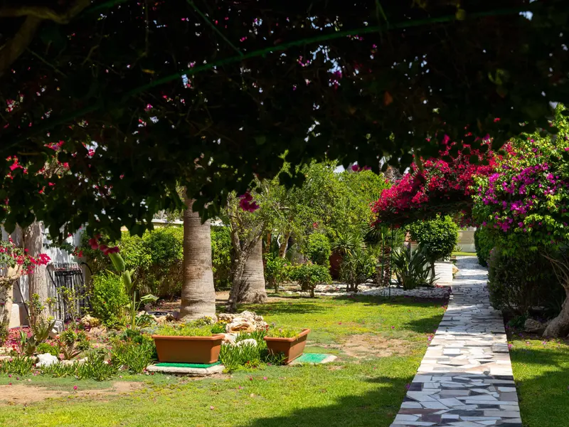 Tsialis Hotel garden area - tsialis-garden-1
