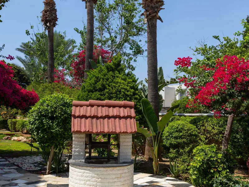 Tsialis Hotel garden area - tsialis-garden-3