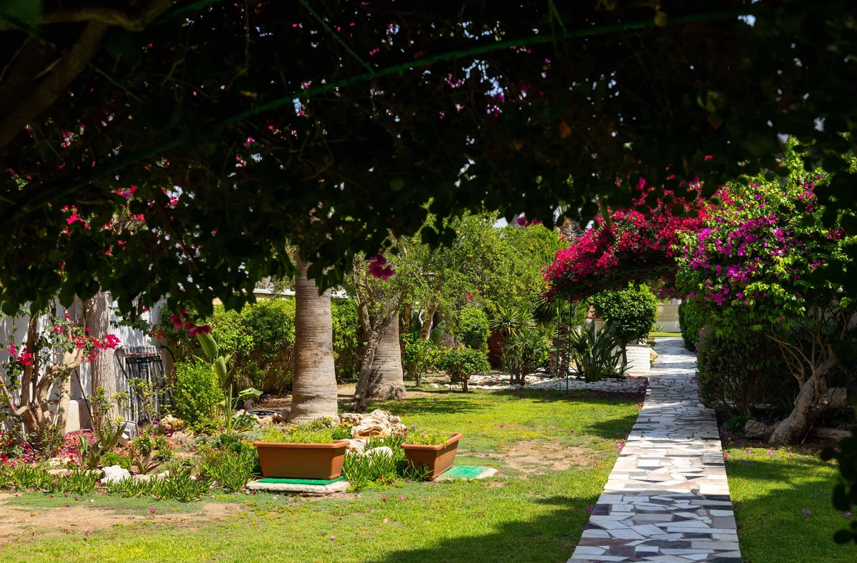 Tsialis Hotel garden and outdoor seating area